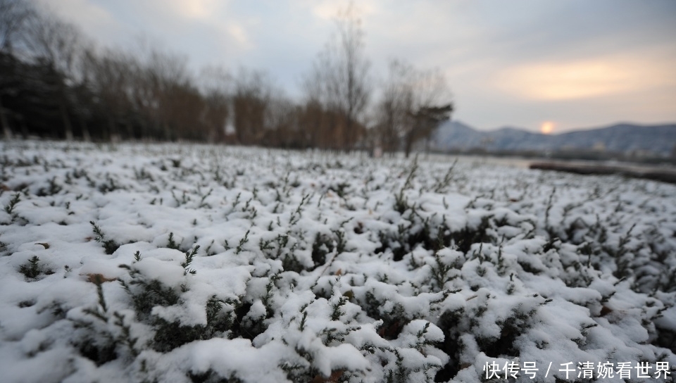 气温大跳水三天换“四季”：东北26℃高温过后连降雪