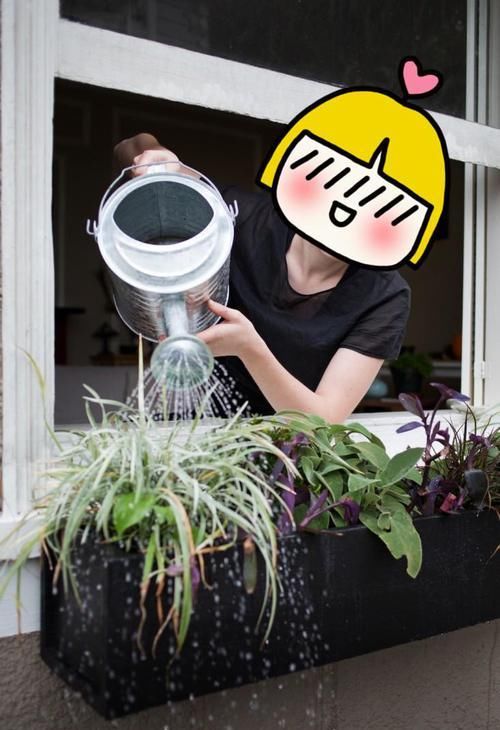  「木材」窗边花架坏了老爸不让买，直接用边角材料DIY花架！比买来的还好看精致