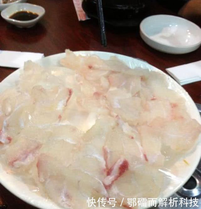 『钓法』石斑鱼来自海洋的“鸡肉”该如何垂钓?