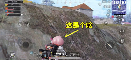  恐怖游戏@吃鸡玩家发现了一个“开挂”的动物，体型约等于3个领主！