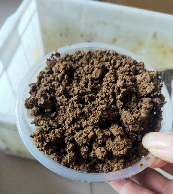  花钱买|肥得流油的“养花土”,家门口就有,随用随取,别再花钱买了!