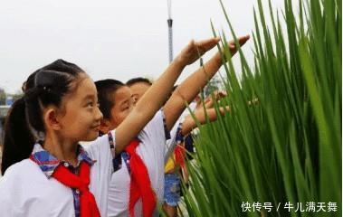  「水产」2.2米水稻成功问世, 袁隆平： 就算以后吃不完也不能浪