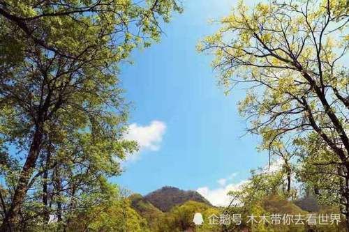 陕西安康的道教圣山，群峰叠障，因鬼谷子而出名，万壑竟秀似仙境