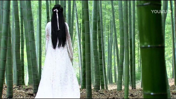 『仙气』古装女子的背影：仙乐仙气飘飘、白凤九美得像幅画！你能认出谁？