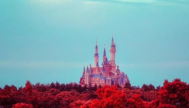 迪士尼隐藏了免门票入场方法？只要带上“一物”，谁都能免费进