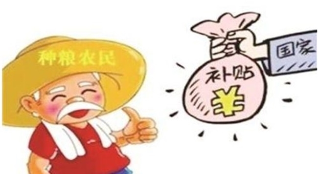 2019年起，3类农民将失去领取粮补的资格！有你家吗？
