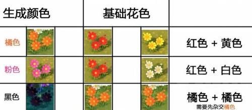  【配方】《集合啦动物森友会》杂交各种花配方一览 杂交花怎么搭配？