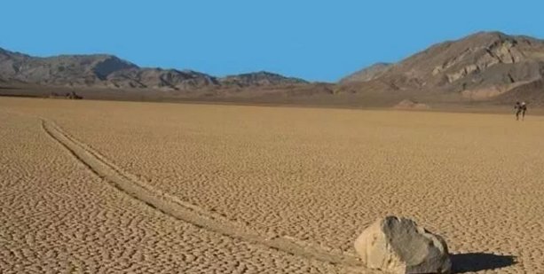 自然界真是神秘，会走路的石头，有谁相信它的存在呢？