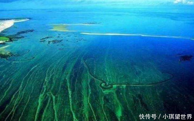 世上最清澈的海：透明度达66米，很多船只进去了就出不来