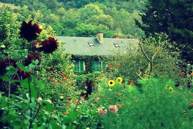 世界上最会画画的人，把自己家房子装修成了人间天堂