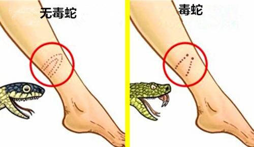  『技巧』在野外紧急情况下能够拯救生命的8个简单技巧