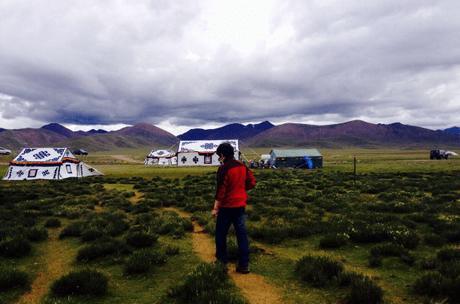 去西藏旅游，看见草坪上的白帐篷可别进去，小有人不听后悔莫及