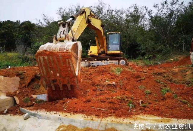  改革：殡葬改革还在进行，农村再迎4个新举措，老农纷纷鼓掌叫好