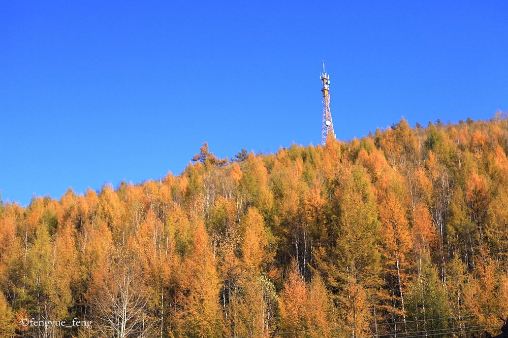 大兴安岭特大火灾澳洲火灾