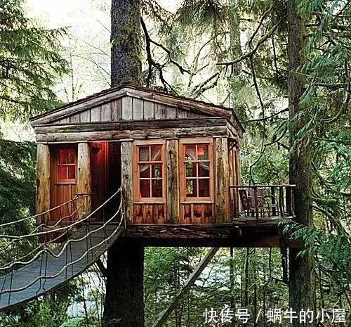 盆栽|她在盆栽上放了这个,家里瞬间活了起来!