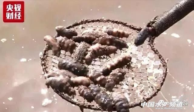 要热到40-45℃？！高温热害席卷22省