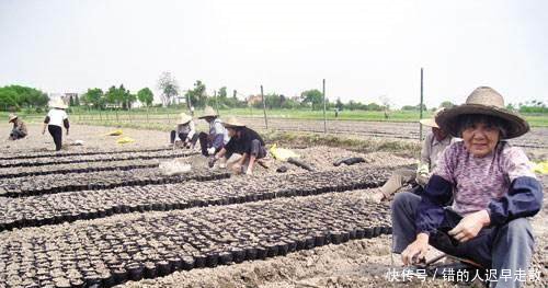 家庭只有儿子注意了，农业户口取消后 这件事情很重要！