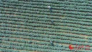  #容克#欧盟委员会主席容克将卸任 感慨万千泪洒欧盟峰会