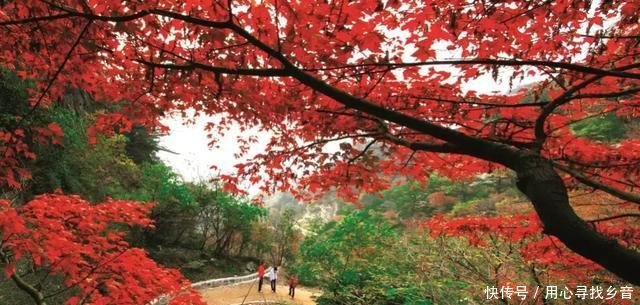 被称为山高县,版图河南第四大,洛阳这个县居然这么美