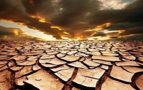 中国农业存在这九大难题，请务必用心阅读以防踏入雷区！