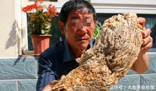 农民山上捡到宝，500万都不卖嫌出价低，据传秦始皇找了一辈子！