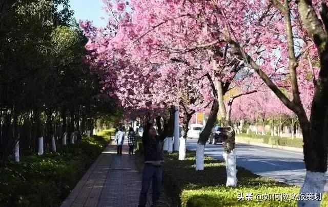 这座国内绝佳的“养老城市”，却被外来人口把房价推高了