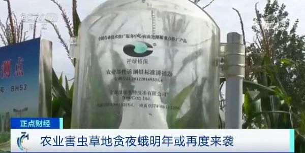  [农业农村部]紧急行动！沙漠蝗入侵云南，还有更严重的“幺蛾子”！