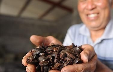  「农村」农村养殖，八大骗局