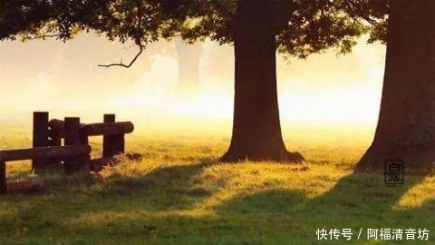 【条纹衬衫】25岁之后,你的衣橱一定要备着这5样东西!