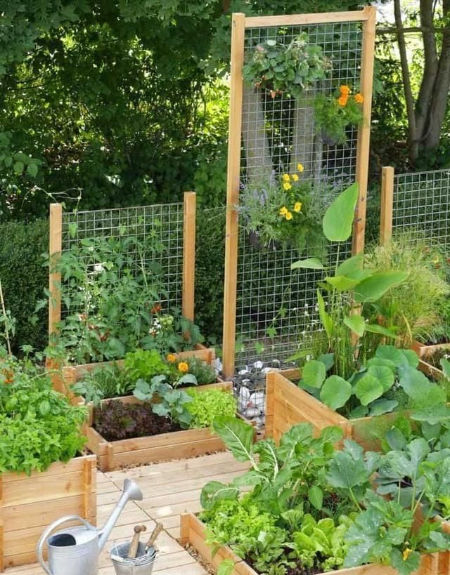  设计|城里人越来越流行在家种菜了！分享10种菜园设计，省钱还健