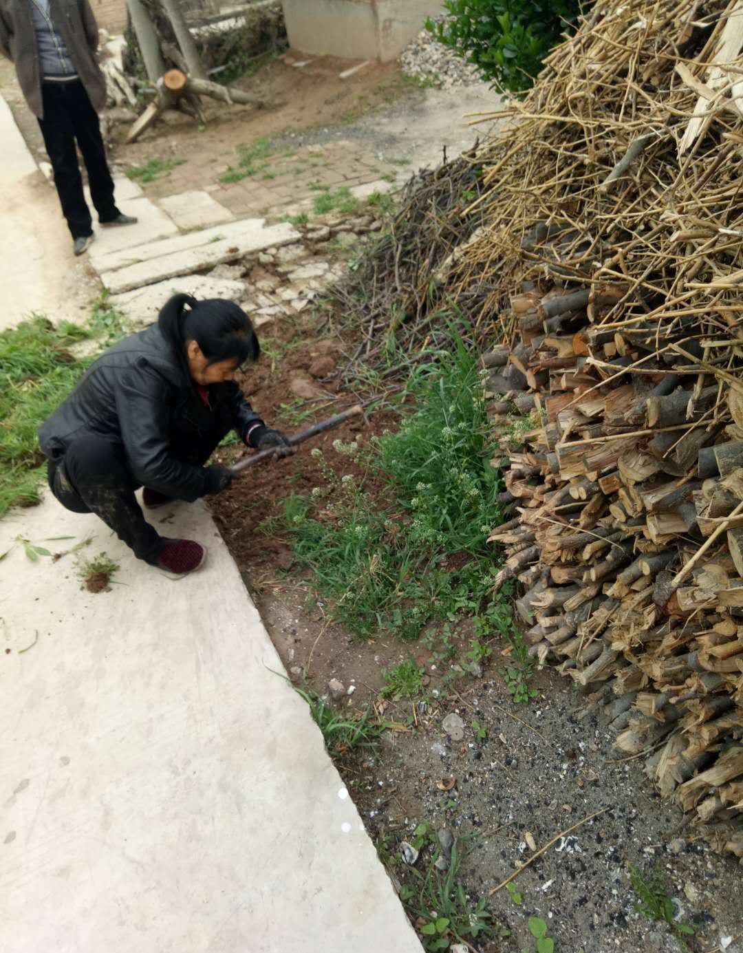 农民工回家收拾门前杂草，在外辛苦打工半年一场空