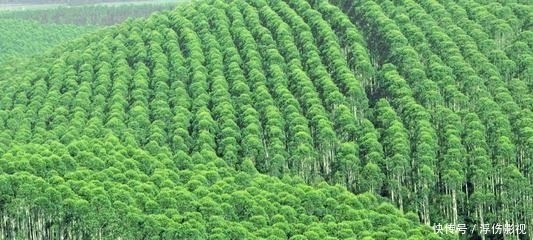 澳大利亚发生火灾的地方