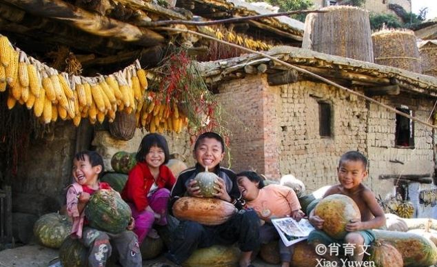 云南这个城子村百家相连，你家屋顶我家庭院，那是故乡的原风景