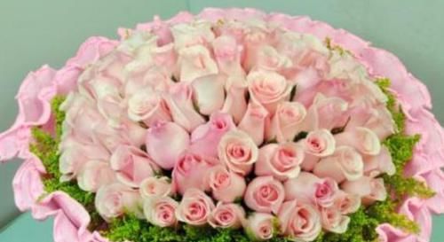  堪称：“珍品玫瑰”蝴蝶夫人，花开粉粉嫩嫩，清香扑鼻，堪称养花首选