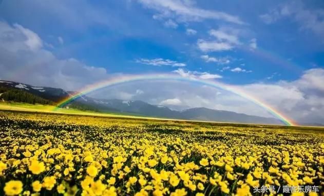 去新疆or去西藏?心累了，去西藏~眼累了，去新疆!