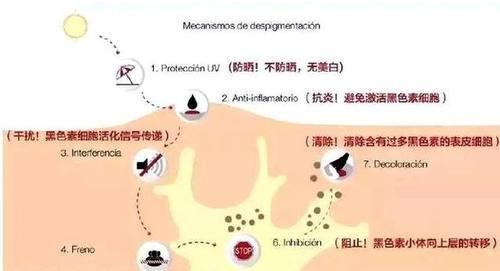  『牛奶』身体怎么美白更有效？掌握这些美白知识，你也可以拥有“牛奶肌”