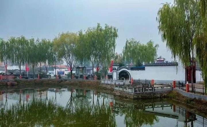 泰山区摄影家协会：镜头记录乡村之美