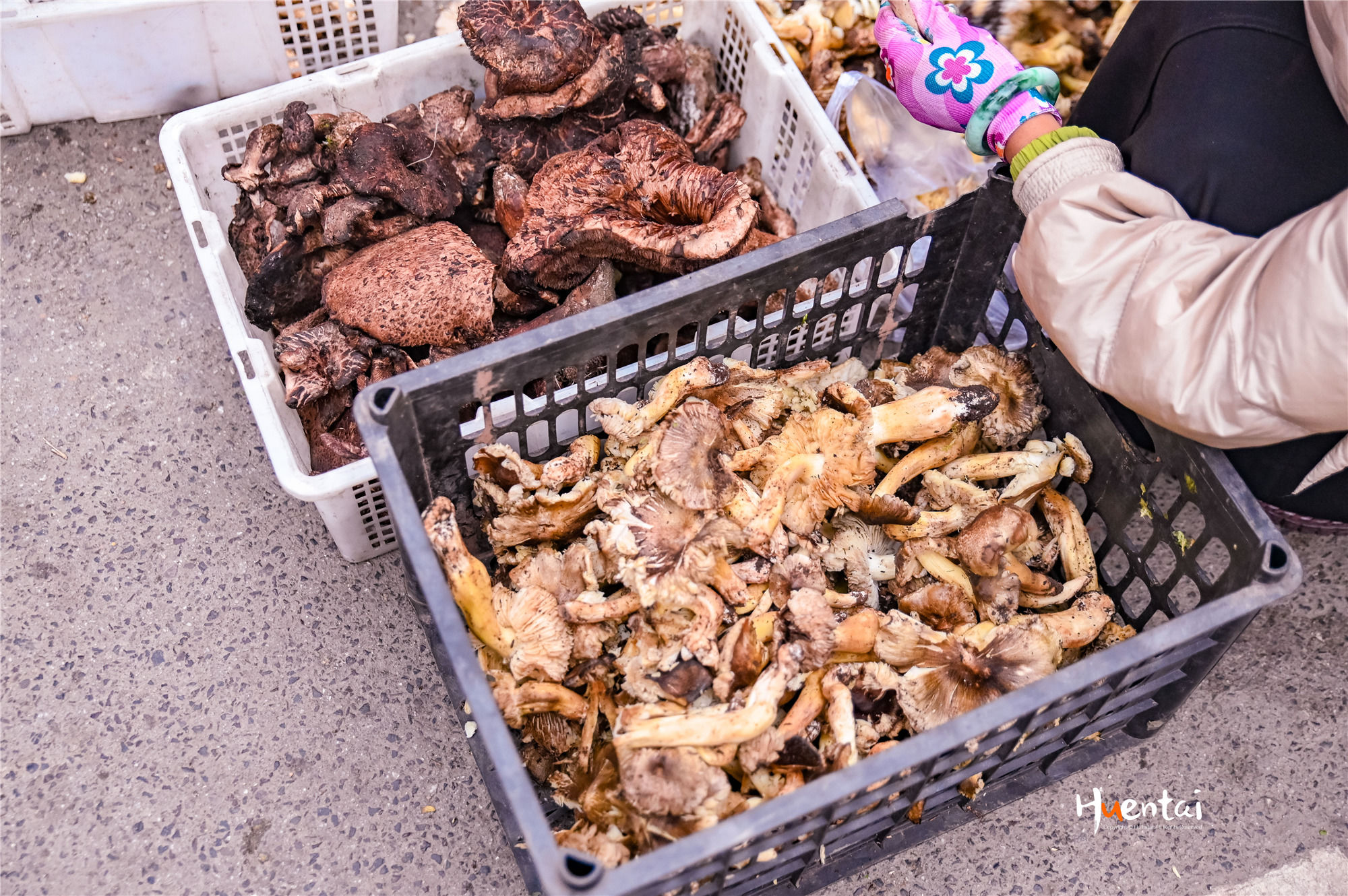 出发即收获，自驾川西秘境木格措