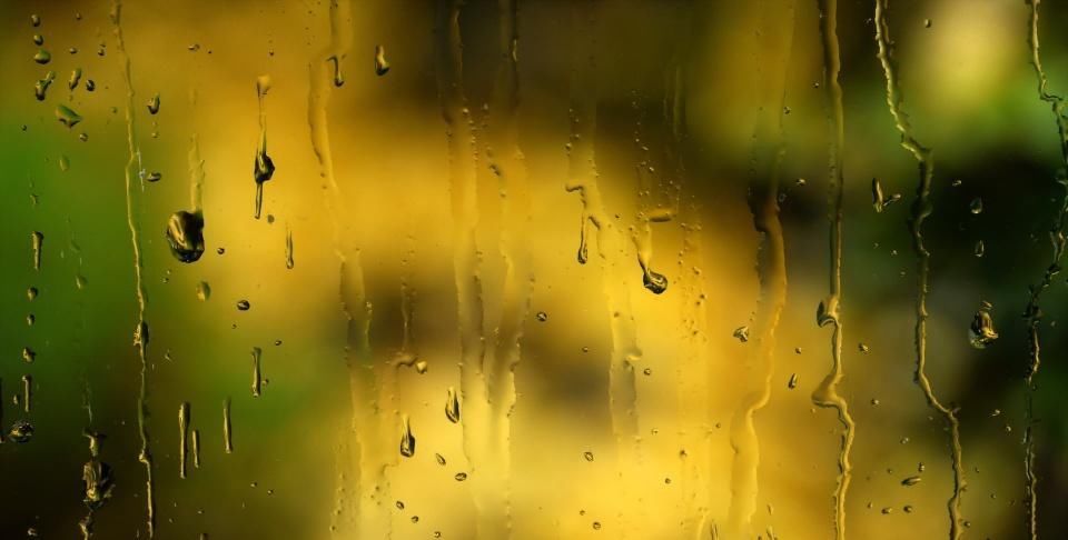 『雨点将画面晕染成』一场春雨一场暖,春雨怎么拍才有味这些作品给你灵感