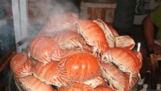 巨大生物登陆菲律宾,随处乱爬网友:简直是吃货