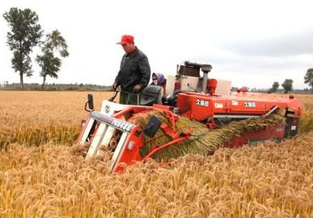  【农村】几十年以后，农村谁来种地？城市的房子谁住？原来如此