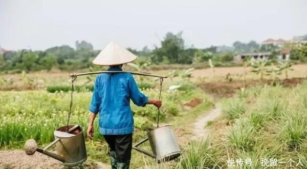 这6张80年代的老照片，每一张都有故事