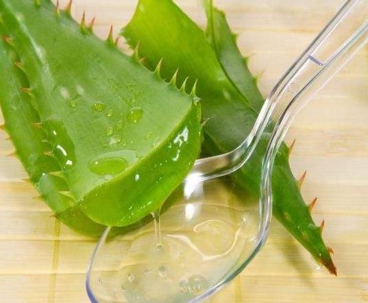  「衰老」皮肤不好容易显老，每天用它来擦脸，滋润保湿皮肤有弹性