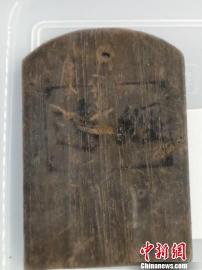 甲午海战遗迹水下考古确定“经远舰” 出水遗物标本500余件