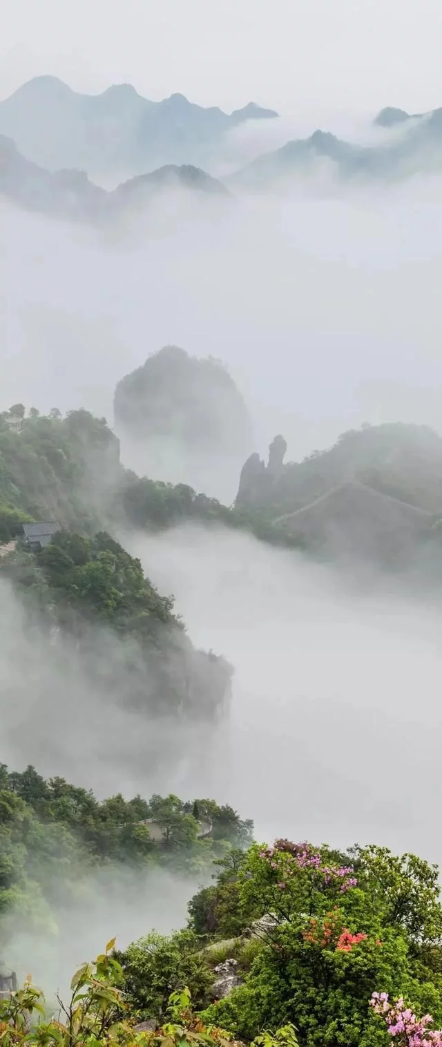 来雁荡山,用大自然的力量滋养我们的身心