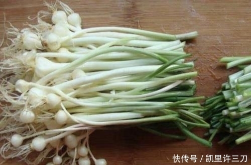  值钱|在干旱的山地里，1种植物像“杂草”，被称为“野蒜”，根茎值钱