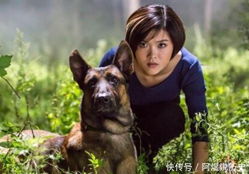 退役政策出现新变化，各位战友注意了，一起来看看