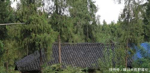 “一户多宅”合法了，满足4个条件，就算村干部来了，也不能拆房