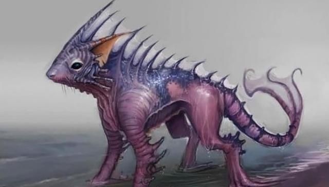  不想：神奇宝贝：画师笔下的宝可梦，超梦变成无毛猫，最不想收服胖丁