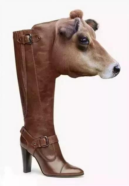 活500年也没见过这样的鞋！您敢穿出去吗？